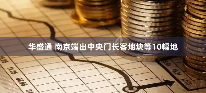 华盛通 南京端出中央门长客地块等10幅地