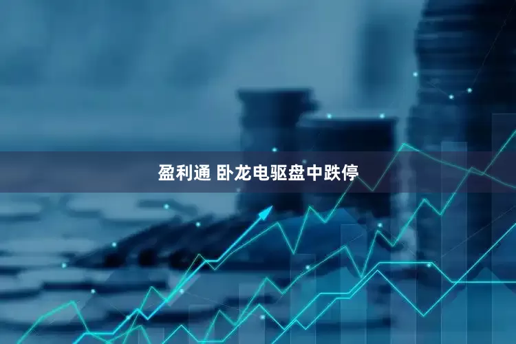 盈利通 卧龙电驱盘中跌停