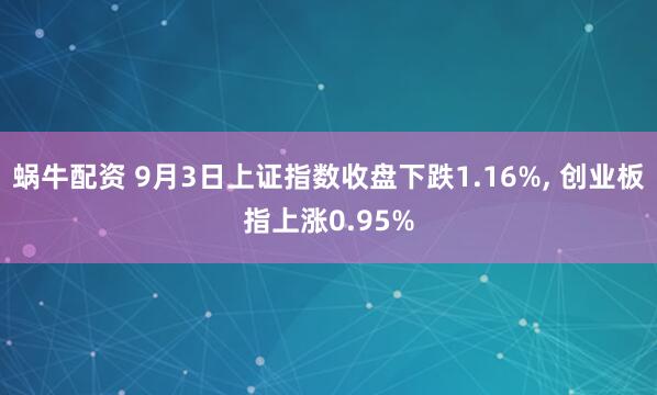 蜗牛配资 9月3日上证指数收盘下跌1.16%, 创业板指上涨0.95%